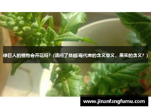 绿巨人的植物会开花吗？(请问了蔓越i莓代表的含义意义，果实的含义？)