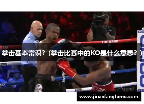 拳击基本常识？(拳击比赛中的KO是什么意思？)